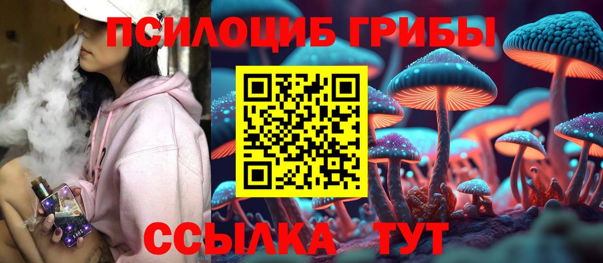 Псилоцибиновые грибы ЛСД Тайшет