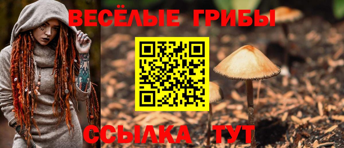 наркота  Псилоцибиновые грибы прущие грибы  Вход с VPN  Тайшет 